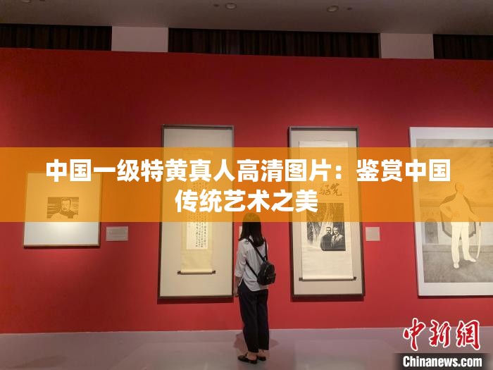 中國一級特黃真人高清圖片：鑒賞中國傳統(tǒng)藝術之美