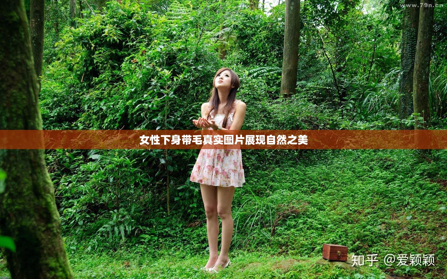 女性下身帶毛真實圖片展現(xiàn)自然之美