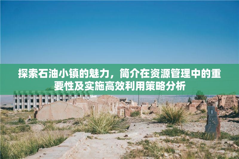 探索石油小鎮(zhèn)的魅力，簡介在資源管理中的重要性及實(shí)施高效利用策略分析