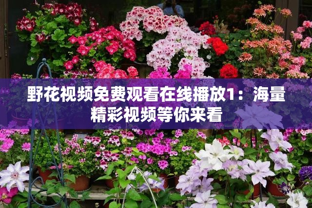 野花視頻免費(fèi)觀看在線播放1：海量精彩視頻等你來(lái)看