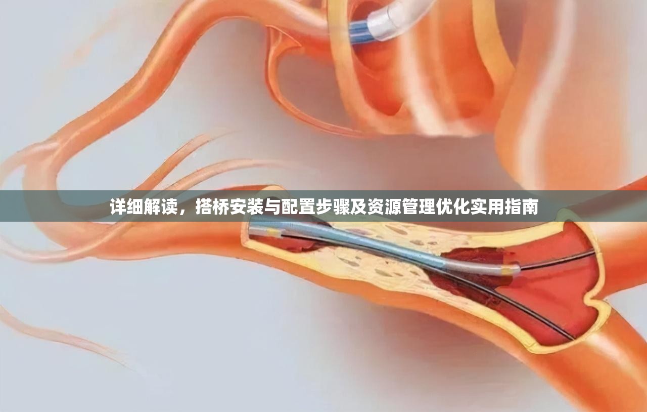 詳細(xì)解讀，搭橋安裝與配置步驟及資源管理優(yōu)化實用指南