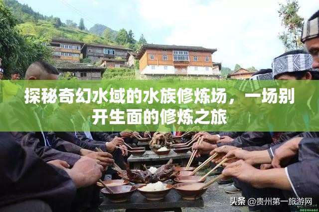 探秘奇幻水域的水族修煉場，一場別開生面的修煉之旅