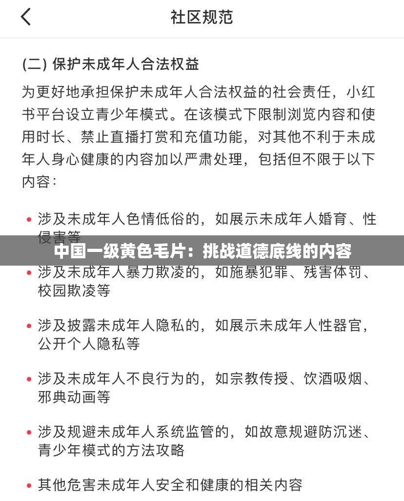 中國一級黃色毛片：挑戰(zhàn)道德底線的內(nèi)容