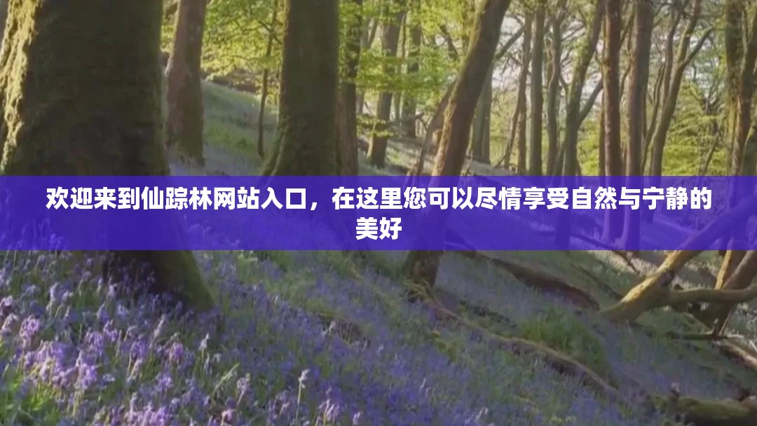歡迎來到仙蹤林網(wǎng)站入口，在這里您可以盡情享受自然與寧靜的美好