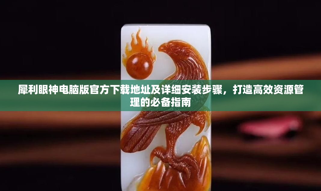 犀利眼神電腦版官方下載地址及詳細(xì)安裝步驟，打造高效資源管理的必備指南
