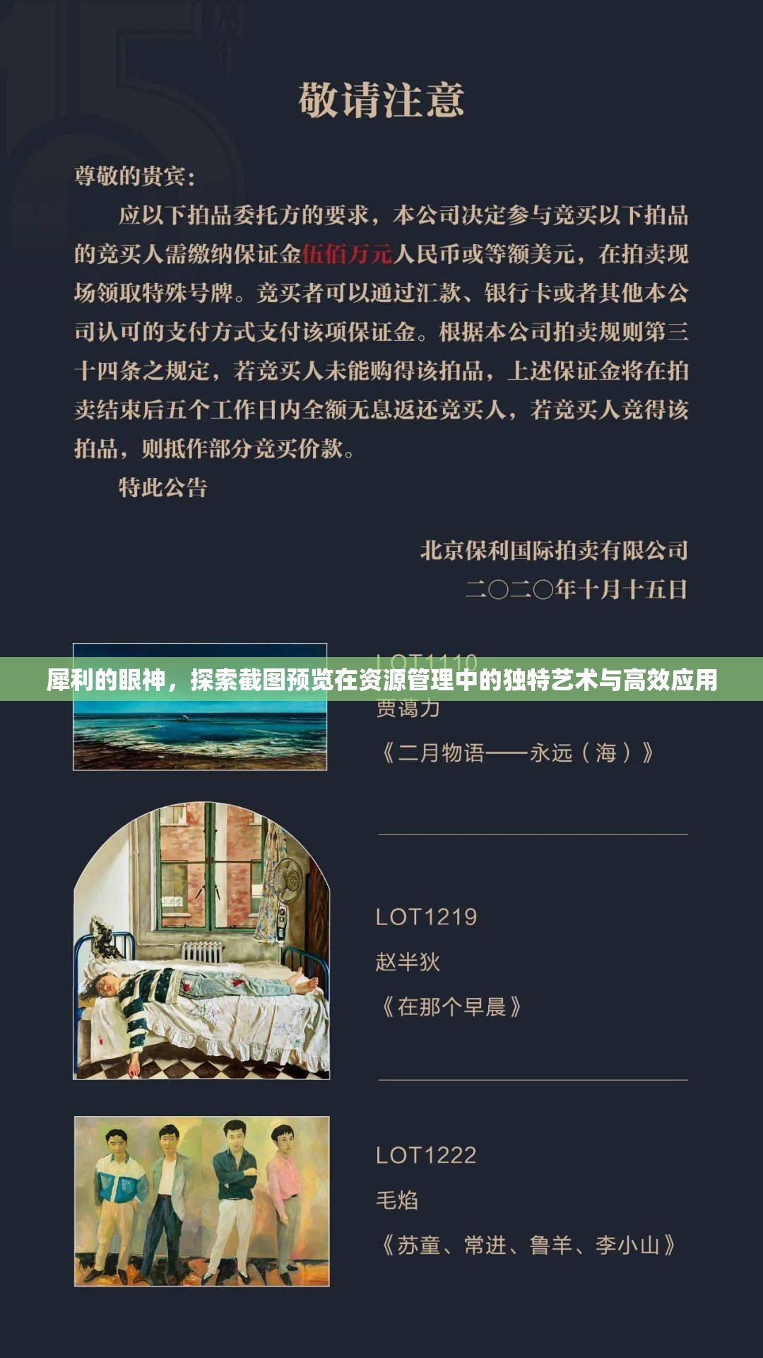 犀利的眼神，探索截圖預(yù)覽在資源管理中的獨(dú)特藝術(shù)與高效應(yīng)用
