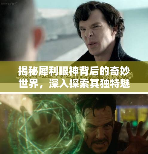 揭秘犀利眼神背后的奇妙世界，深入探索其獨(dú)特魅力與深層含義