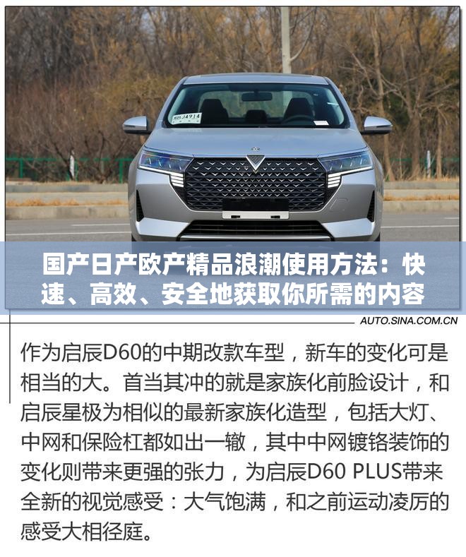 國(guó)產(chǎn)日產(chǎn)歐產(chǎn)精品浪潮使用方法：快速、高效、安全地獲取你所需的內(nèi)容