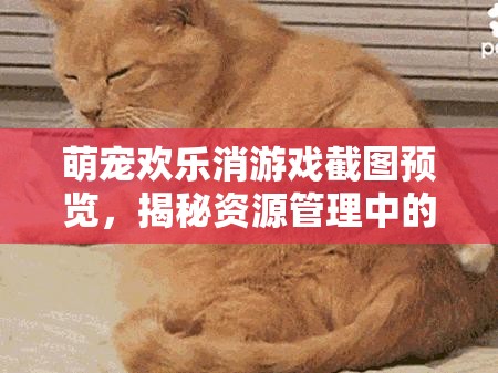 萌寵歡樂(lè)消游戲截圖預(yù)覽，揭秘資源管理中的智慧布局與策略運(yùn)用