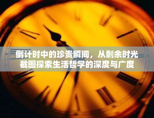 倒計(jì)時(shí)中的珍貴瞬間，從剩余時(shí)光截圖探索生活哲學(xué)的深度與廣度