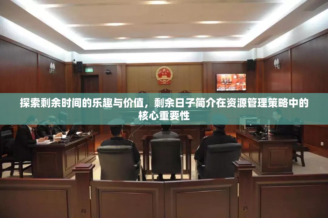 探索剩余時(shí)間的樂趣與價(jià)值，剩余日子簡(jiǎn)介在資源管理策略中的核心重要性