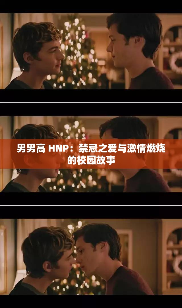 男男高 HNP：禁忌之愛(ài)與激情燃燒的校園故事