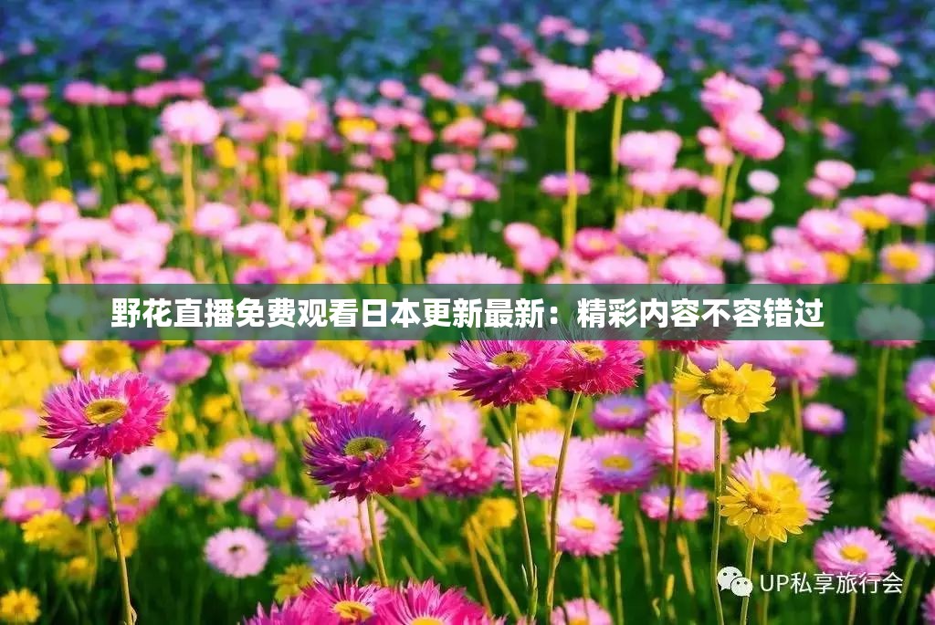 野花直播免費(fèi)觀看日本更新最新：精彩內(nèi)容不容錯(cuò)過