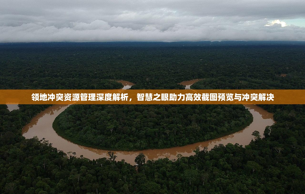 領(lǐng)地沖突資源管理深度解析，智慧之眼助力高效截圖預(yù)覽與沖突解決