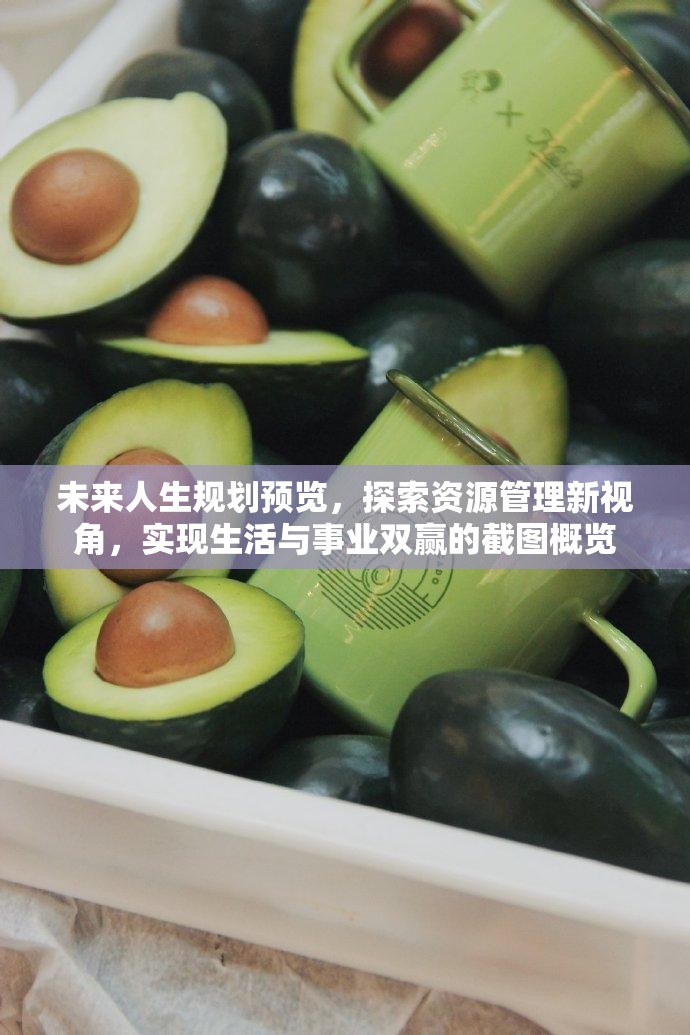 未來(lái)人生規(guī)劃預(yù)覽，探索資源管理新視角，實(shí)現(xiàn)生活與事業(yè)雙贏的截圖概覽