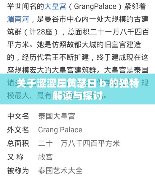關(guān)于澀澀屋黃瑟日 b 的獨(dú)特解讀與探討