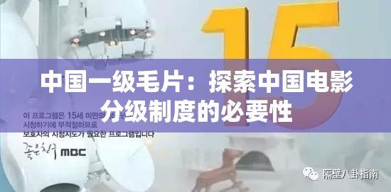 中國(guó)一級(jí)毛片：探索中國(guó)電影分級(jí)制度的必要性