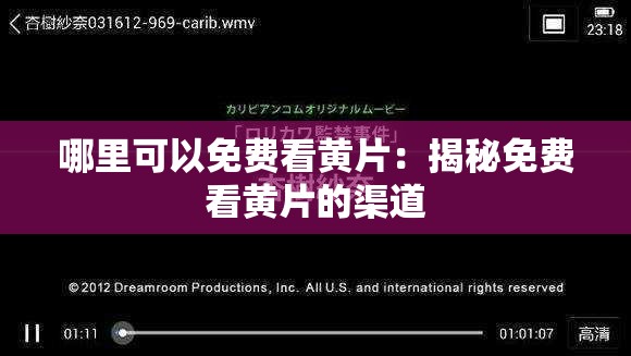 哪里可以免費看黃片：揭秘免費看黃片的渠道