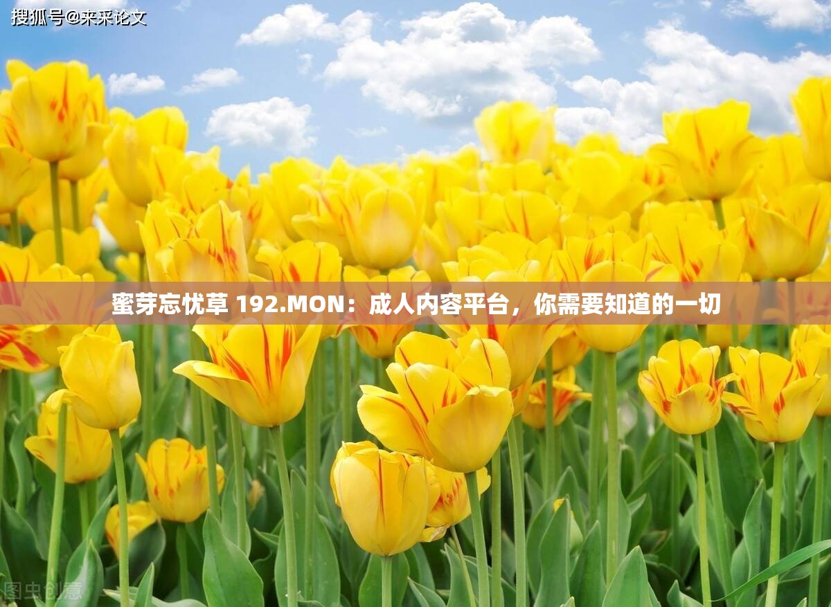 蜜芽忘憂草 192.MON：成人內(nèi)容平臺(tái)，你需要知道的一切