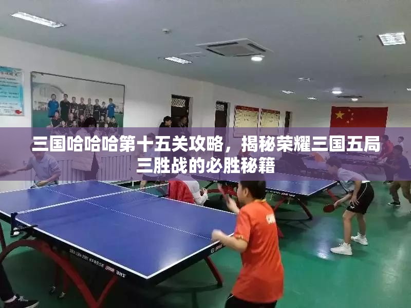 三國哈哈哈第十五關(guān)攻略，揭秘榮耀三國五局三勝戰(zhàn)的必勝秘籍