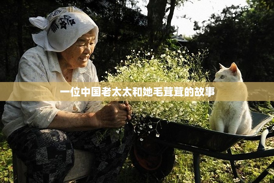 一位中國老太太和她毛茸茸的故事