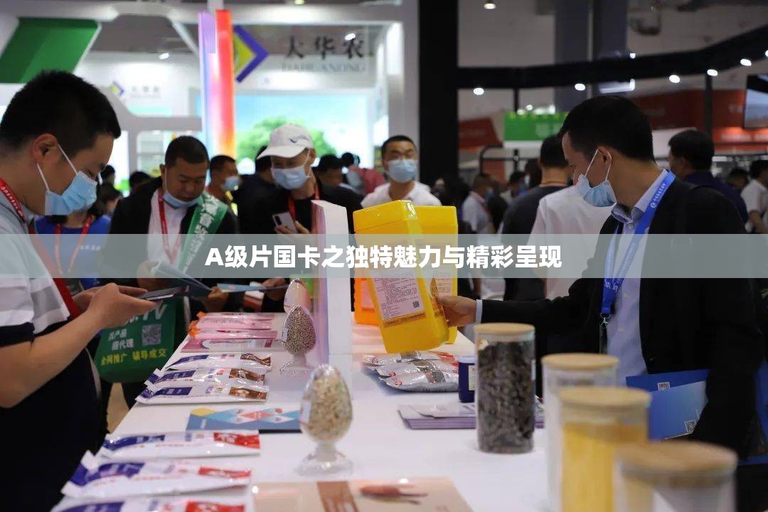 A級片國卡之獨特魅力與精彩呈現(xiàn)