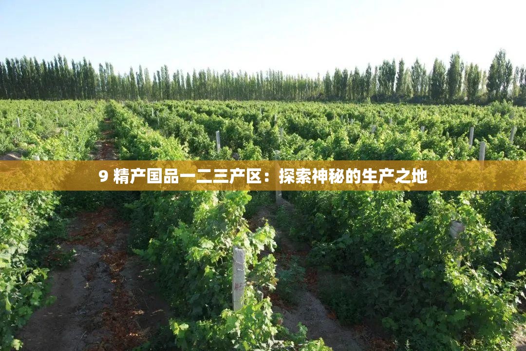 9 精產(chǎn)國品一二三產(chǎn)區(qū)：探索神秘的生產(chǎn)之地