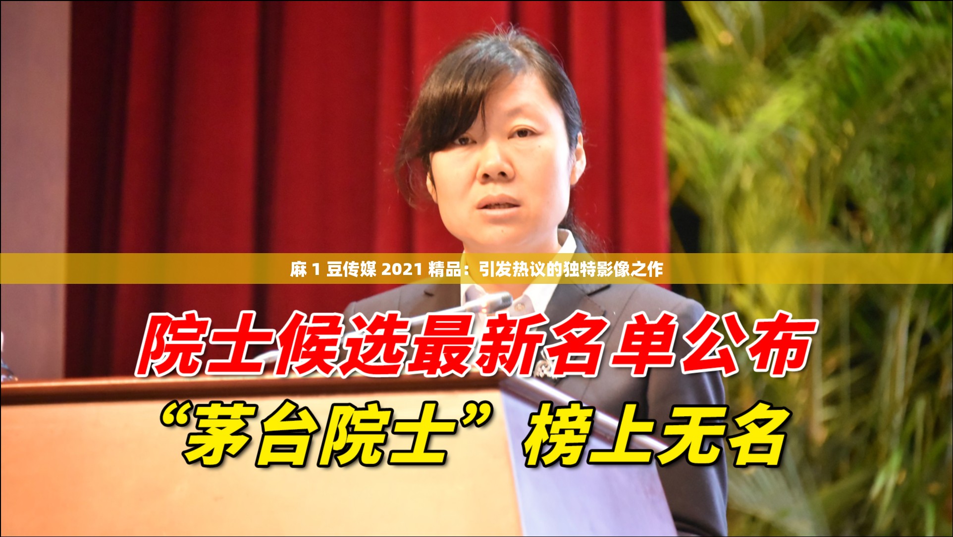 麻 1 豆傳媒 2021 精品：引發(fā)熱議的獨特影像之作