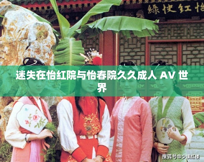 迷失在怡紅院與怡春院久久成人 AV 世界