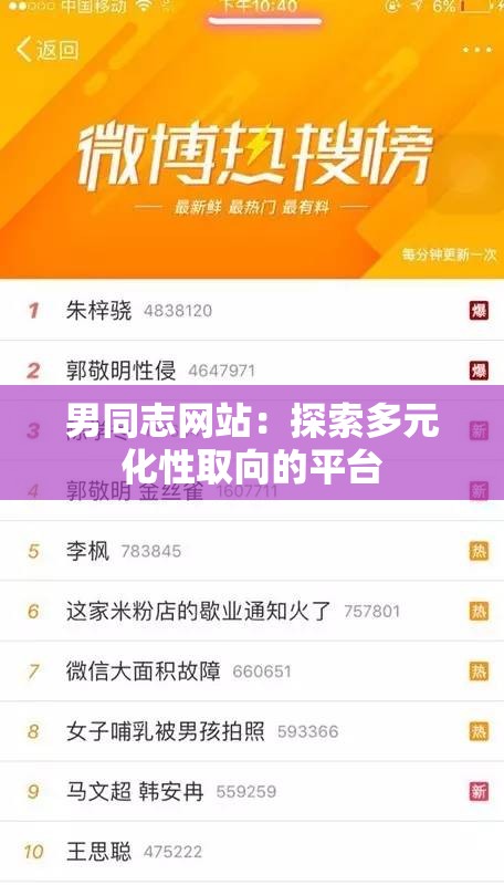 男同志網(wǎng)站：探索多元化性取向的平臺(tái)