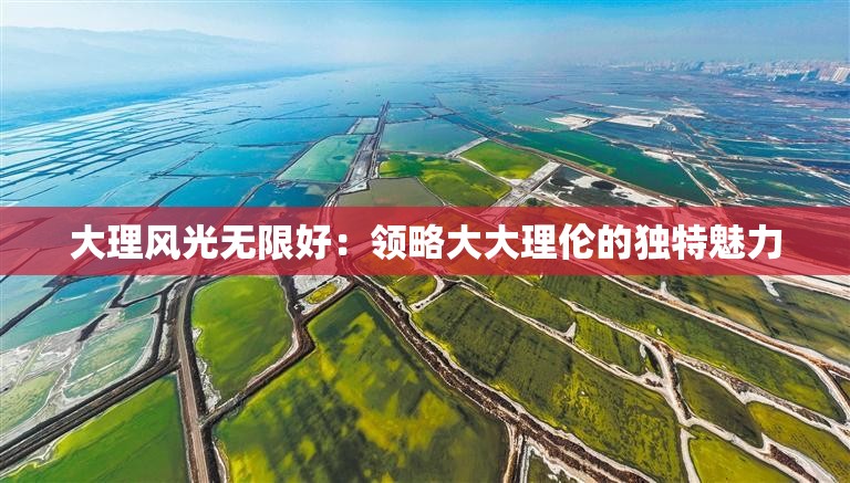大理風光無限好：領略大大理倫的獨特魅力