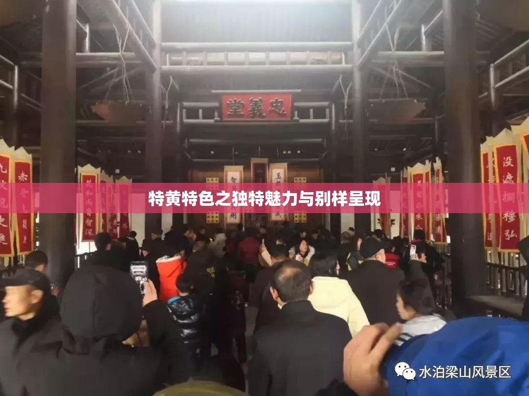 特黃特色之獨(dú)特魅力與別樣呈現(xiàn)