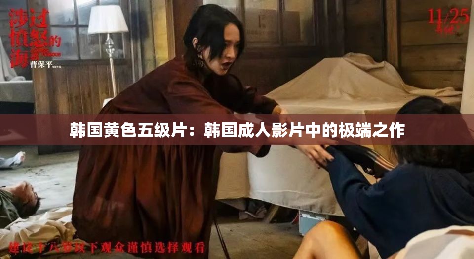 韓國黃色五級(jí)片：韓國成人影片中的極端之作