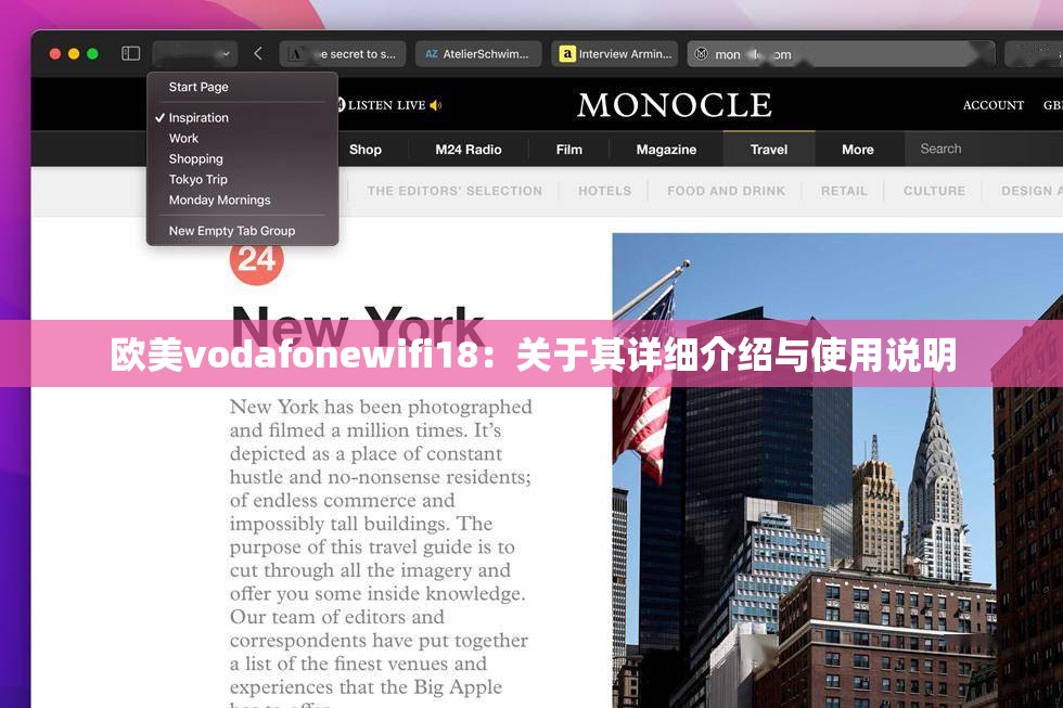 歐美vodafonewifi18：關(guān)于其詳細(xì)介紹與使用說明