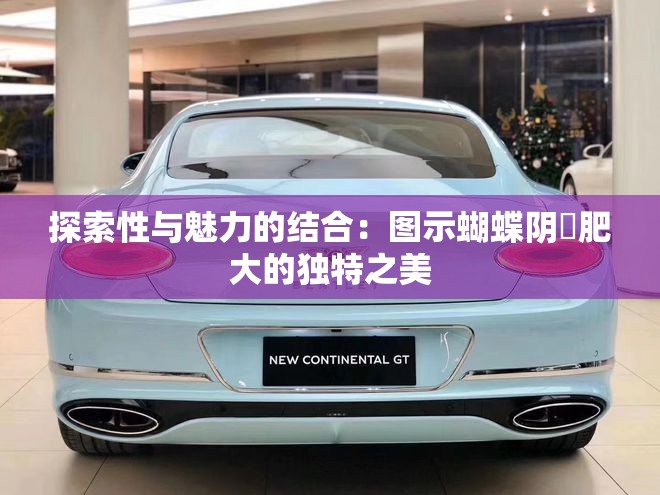 探索性與魅力的結合：圖示蝴蝶陰脣肥大的獨特之美