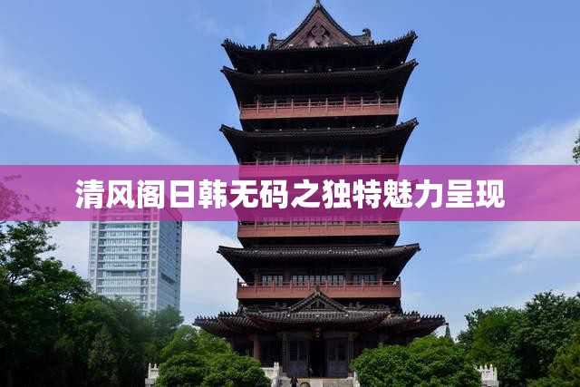 清風(fēng)閣日韓無(wú)碼之獨(dú)特魅力呈現(xiàn)