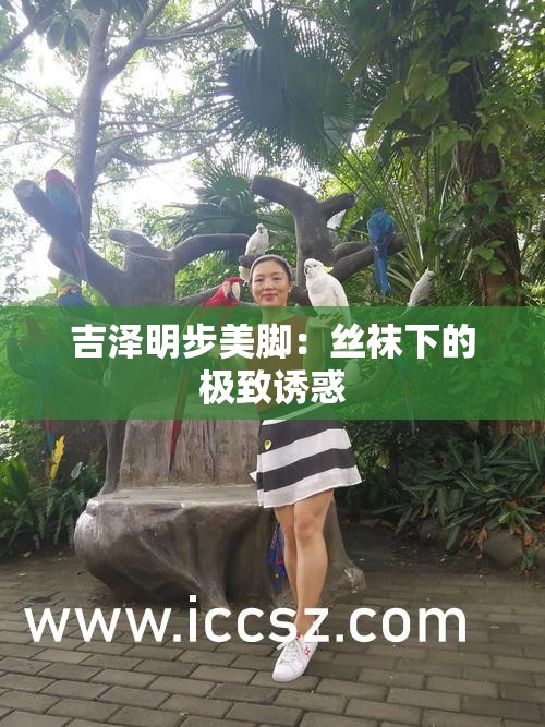 吉澤明步美腳：絲襪下的極致誘惑