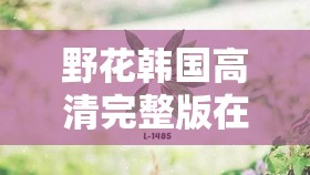 野花韓國(guó)高清完整版在線視頻：帶你領(lǐng)略獨(dú)特的視覺(jué)盛宴