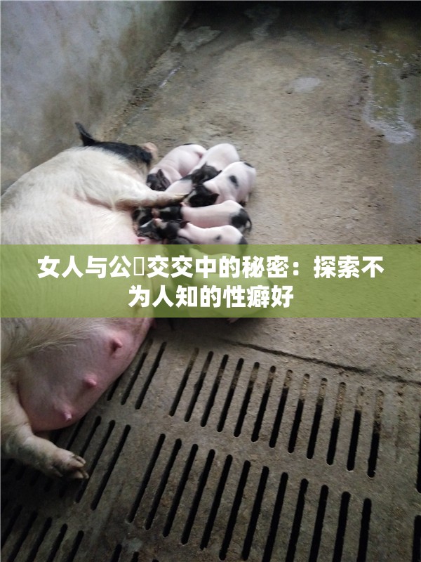 女人與公豬交交中的秘密：探索不為人知的性癖好