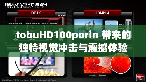 tobuHD100porin 帶來(lái)的獨(dú)特視覺(jué)沖擊與震撼體驗(yàn)