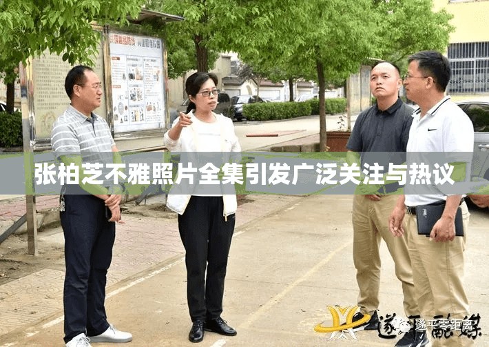 張柏芝不雅照片全集引發(fā)廣泛關(guān)注與熱議