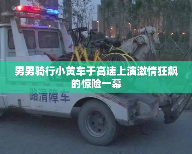 男男騎行小黃車(chē)于高速上演激情狂飆的驚險(xiǎn)一幕