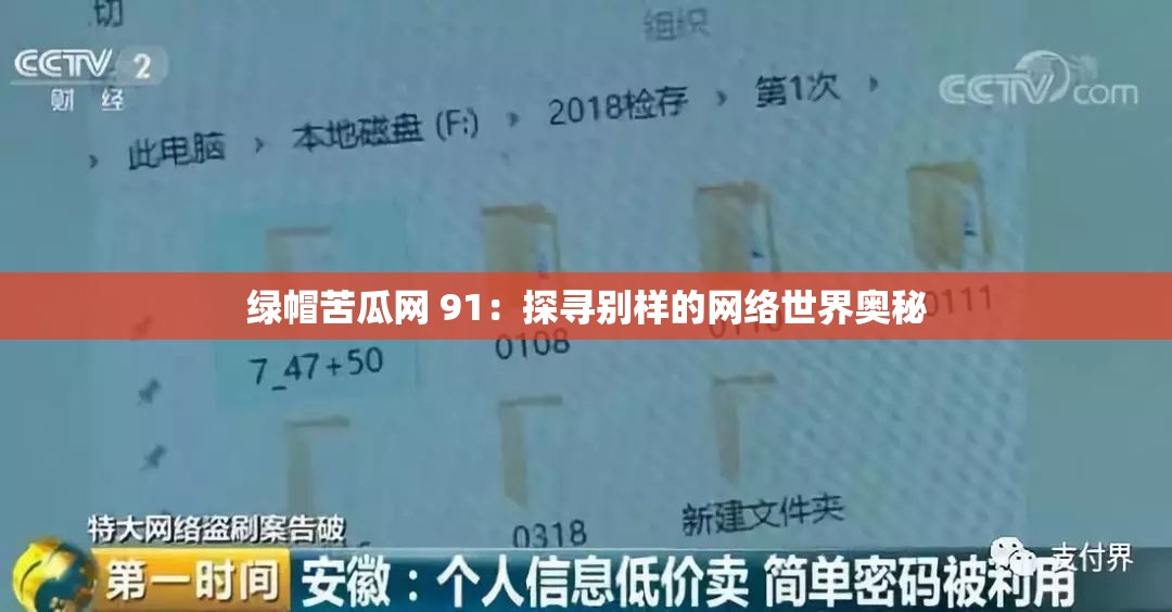 綠帽苦瓜網(wǎng) 91：探尋別樣的網(wǎng)絡(luò)世界奧秘