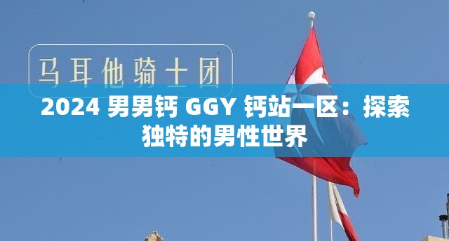 2024 男男鈣 GGY 鈣站一區(qū)：探索獨特的男性世界