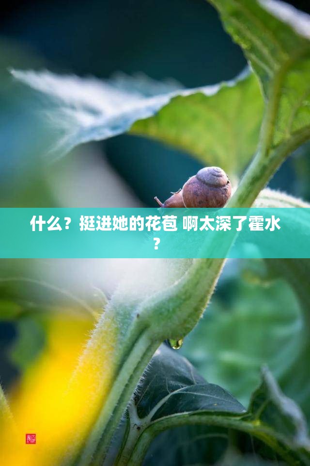 什么？挺進(jìn)她的花苞 啊太深了霍水？