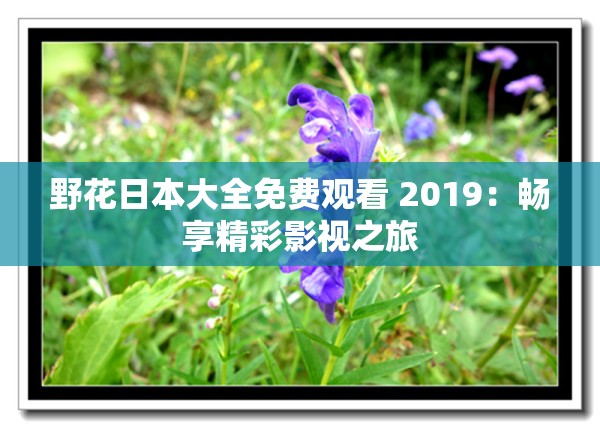 野花日本大全免費(fèi)觀看 2019：暢享精彩影視之旅