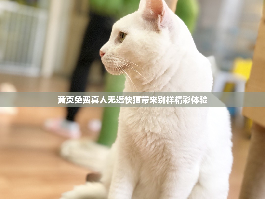 黃頁免費真人無遮快貓帶來別樣精彩體驗