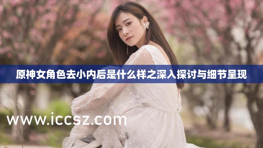 原神女角色去小內(nèi)后是什么樣之深入探討與細(xì)節(jié)呈現(xiàn)