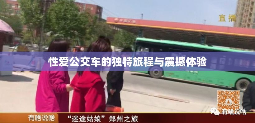 性愛(ài)公交車(chē)的獨(dú)特旅程與震撼體驗(yàn)