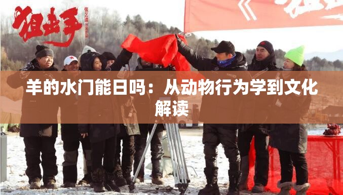 羊的水門(mén)能日嗎：從動(dòng)物行為學(xué)到文化解讀